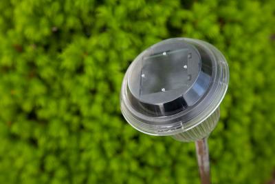 How Do Solar Garden Lights Work?